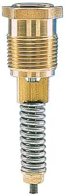 Internal Pressure Propane Relief Valve For Asme Cylinder With 250 Psi Setpoint And Cap 1 In. Mnpt Connection 1