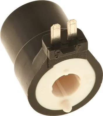 Gas Valve Solenoid 1