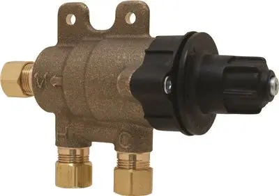 Chicago Faucets&Reg; Lead-Free Ecast&Reg; Thermostatic Mixing Valve With Wall Bracket And Check Valves 1