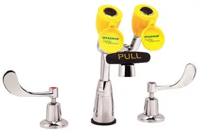 Speakman&Reg; Eyesaver&Reg; Gooseneck Faucet With Eyewash, Lead Free 1