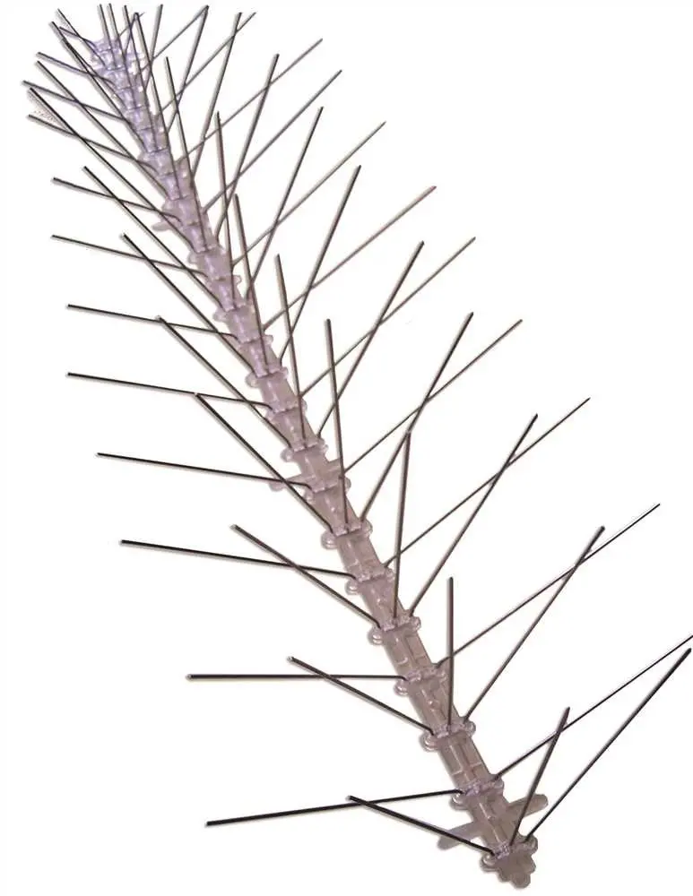 Bird X Bird Spikes, Stainless Steel, Regular Width, 24 Ft. 1