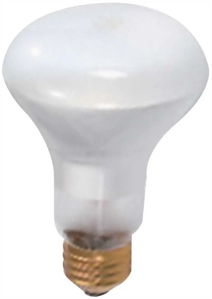 Satco Incandescent Reflector Lamp R20, 45 Watt, 130 Volt, Medium Base, Frost, 2,000 Average Rated Hours, 12 Per Box 1