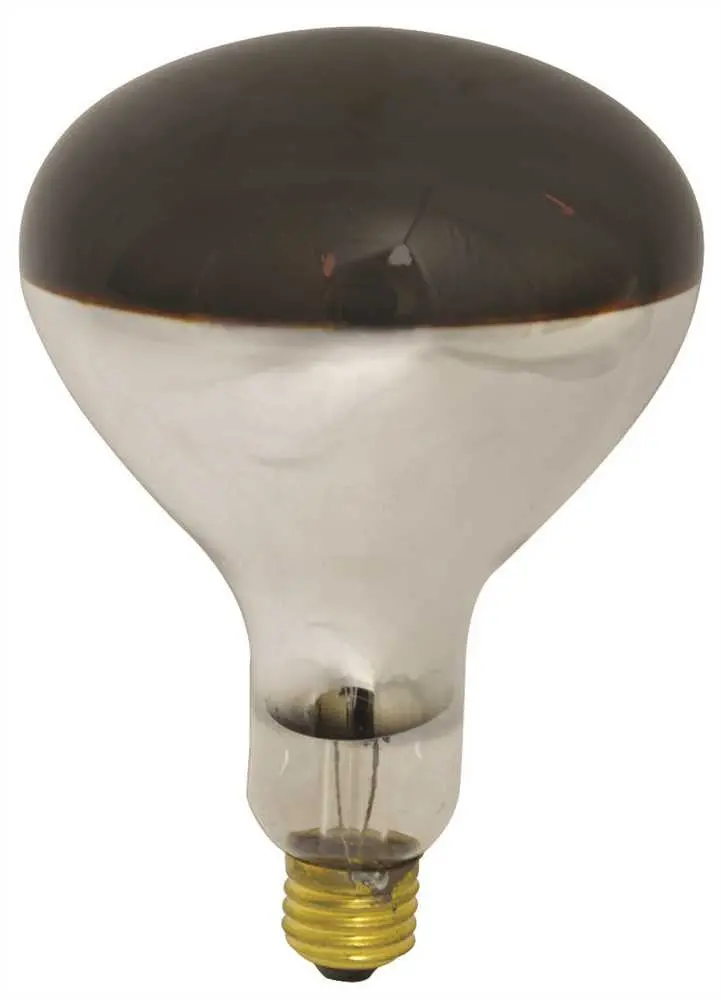 Satco Incandescent Heat Lamp R40, 250 Watt, 120 Volt, Medium Base, Red, 6,000 Average Rated Hours, 12 Per Case 1