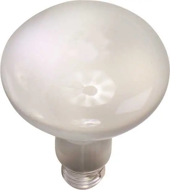 Satco Incandescent Reflector Lamp R20, 45 Watt, 130 Volt, Medium Base, Frost, 5,000 Average Rated Hours, 60 Per Case 1