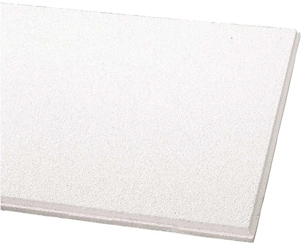 Armstrong&Reg; Dune&Trade; Beveled Tegular Ceiling Tile, 9-16 In., 24X48x5-8 In., 10 Pieces Per Carton 1