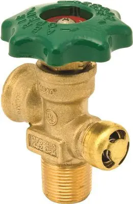 Large Cylinder Valve 1