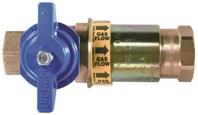Valve Safety Quik 1-2 In. 1