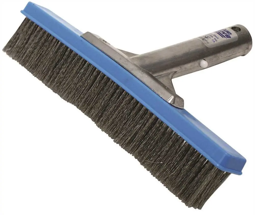 Algae Brush 10" 1