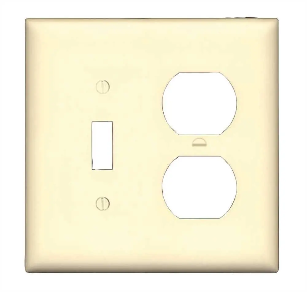 Combo Switch-Duplex Plate White 1