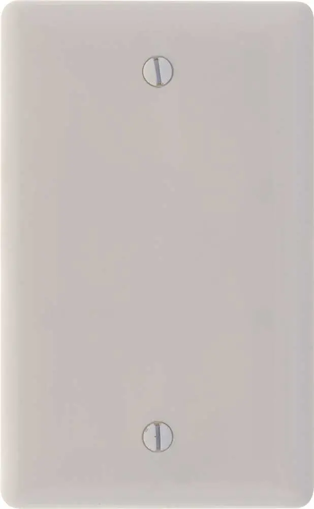 Wallplate 1 Gang Blank White 1