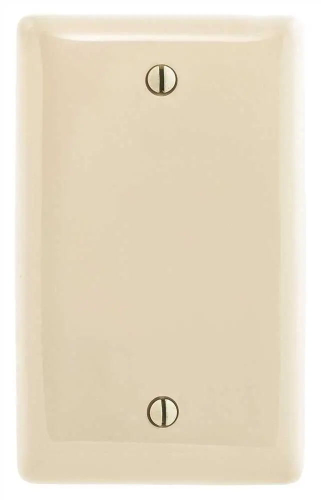 Wallplate 1-Gang Blank Almond 1