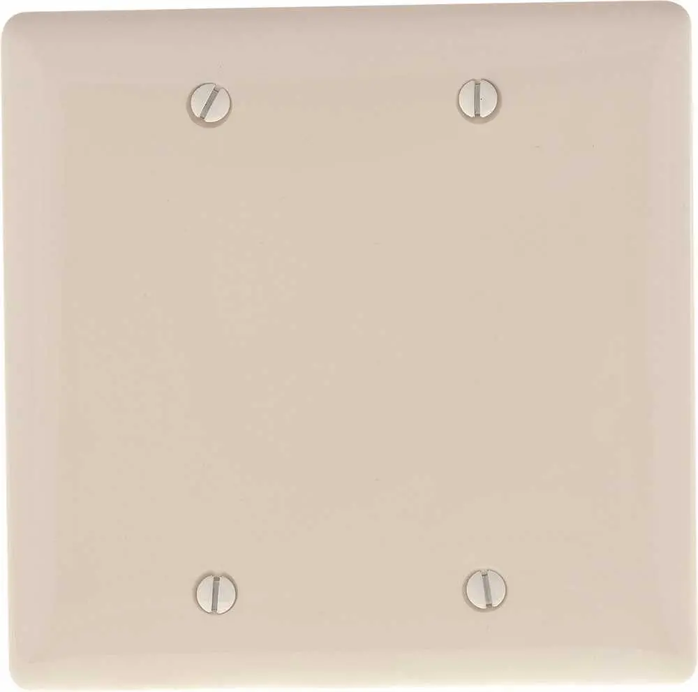 Wallplate 2 Gang Blank White 1