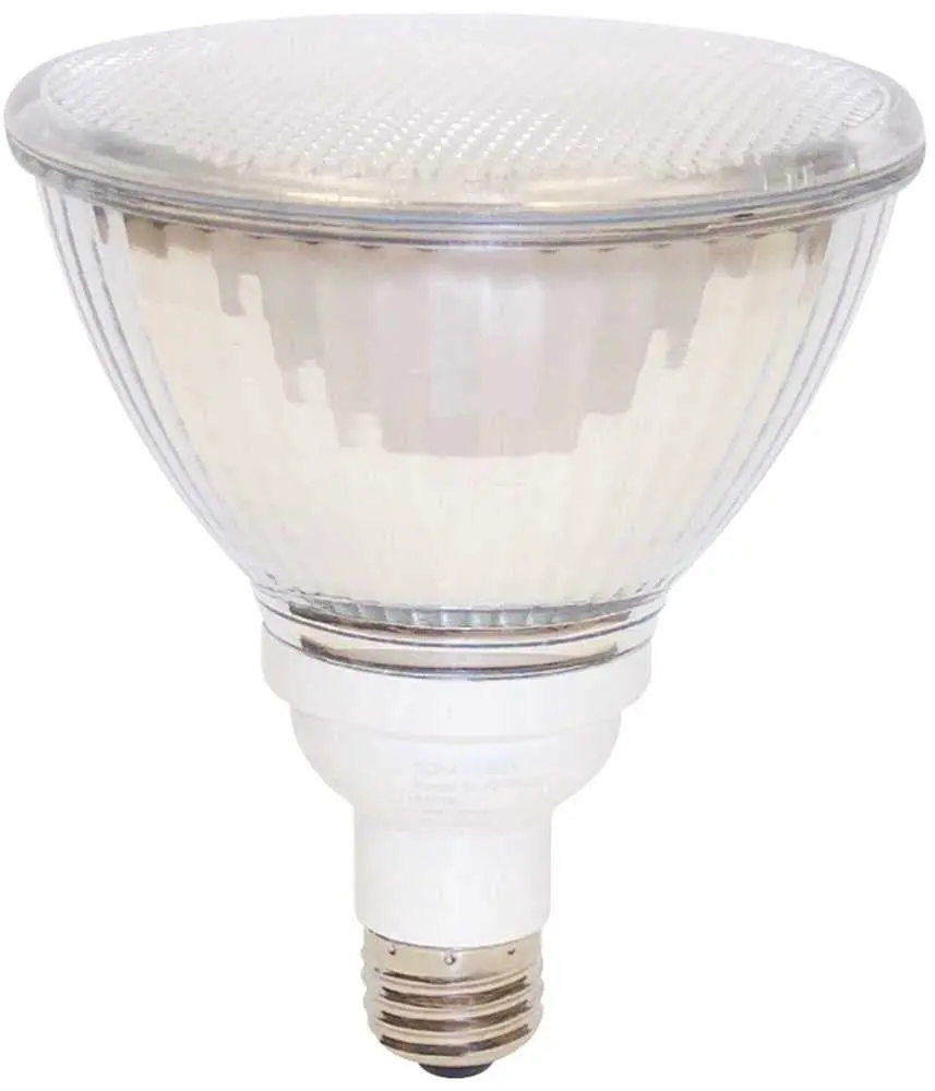 Par38 Type 19 Watt Compact Fluorescent Floodlight 1