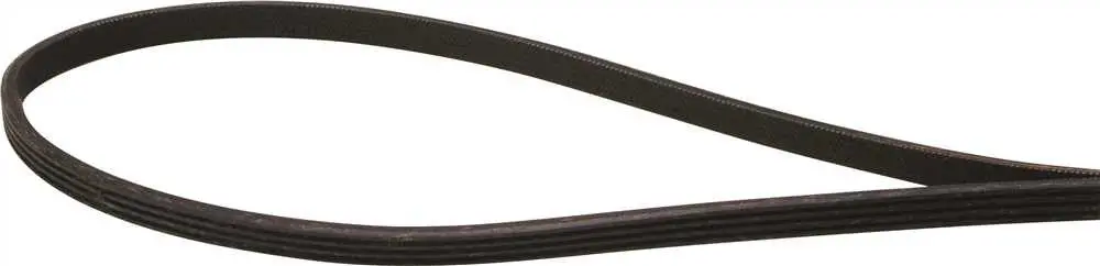 Dryer Belt We12x82p 1