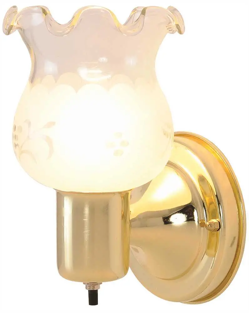 Royal Cove Wall Light Fixture With Etched Grape Leaf Design, 4-1-2", Polished Brass, Uses 1 Incandescent Medium Base Bulb 1