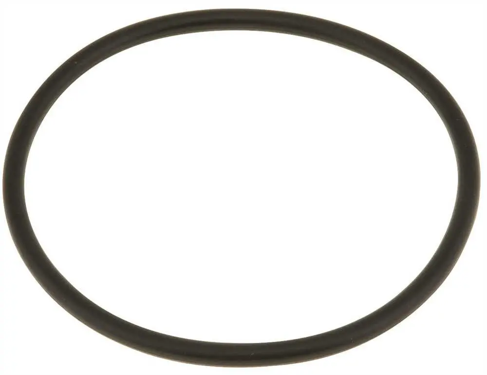 Chlorinator Cap O Ring 1