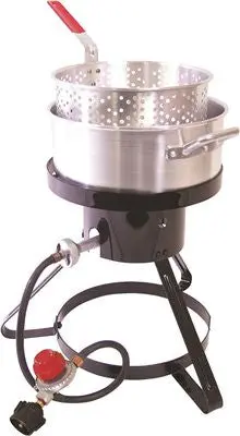 Fish Cooker With Stand 15 In. 1