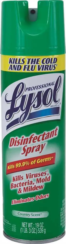 Lysol&Reg; Disinfectant Spray, Country Scent, 19 Oz 1