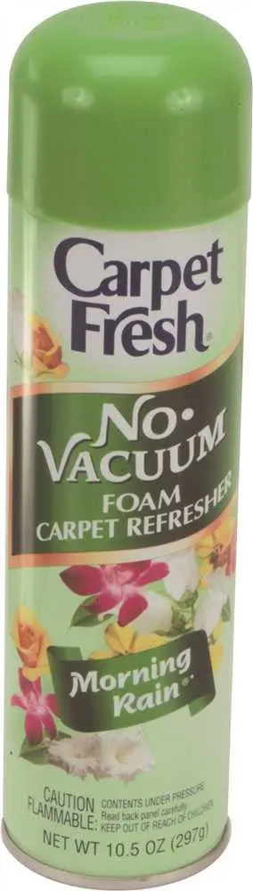 Carpet Fresh No Vac Foam Carpet Refresher Morning Rain 1