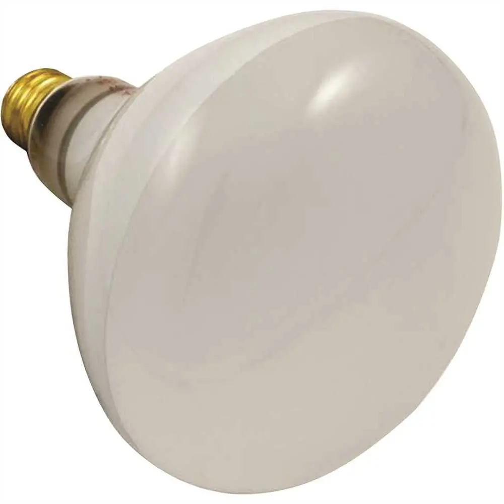 Reflector Pool Bulb 300 Watt, 120 Volt Short Stem 1