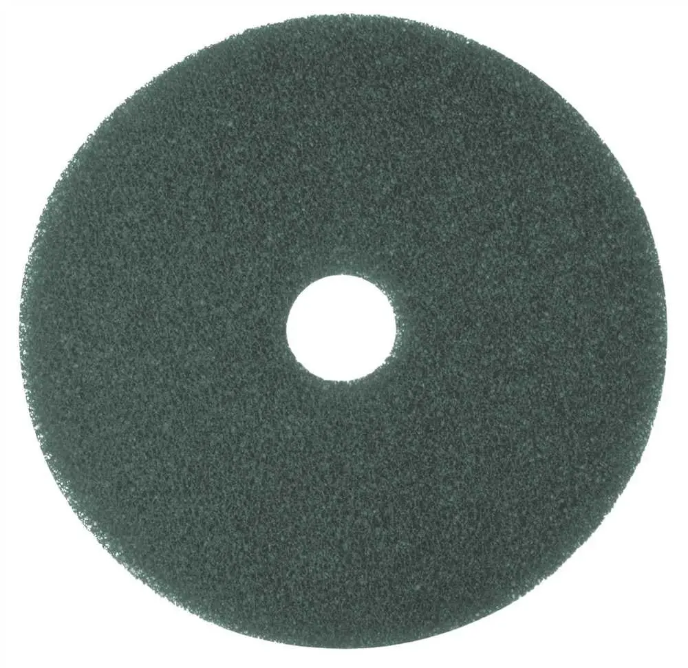 Renown&Reg; Cleaning Pad 16 In. Blue 1