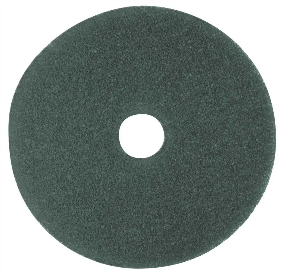 Renown&Reg; Blue Cleaning Pad 20" 1