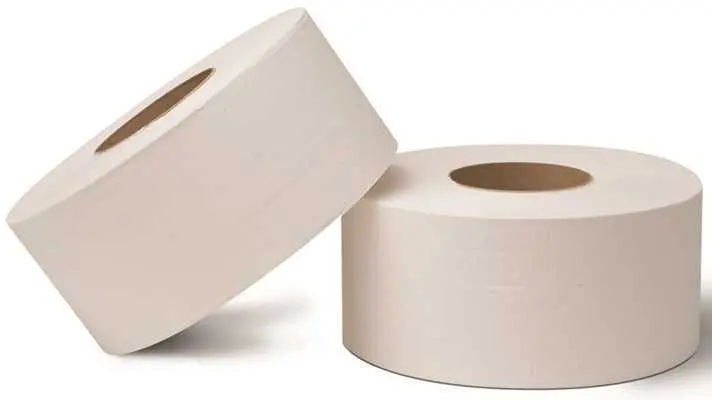 Renown&Reg; Jr. Jumbo Bath Tissue, 1-Ply, 12 Rolls Per Case 1