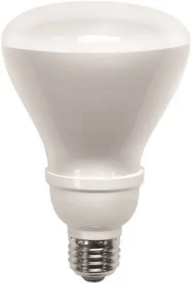 Compact Fluorescent Flood Light Bulb 16 Watt 1